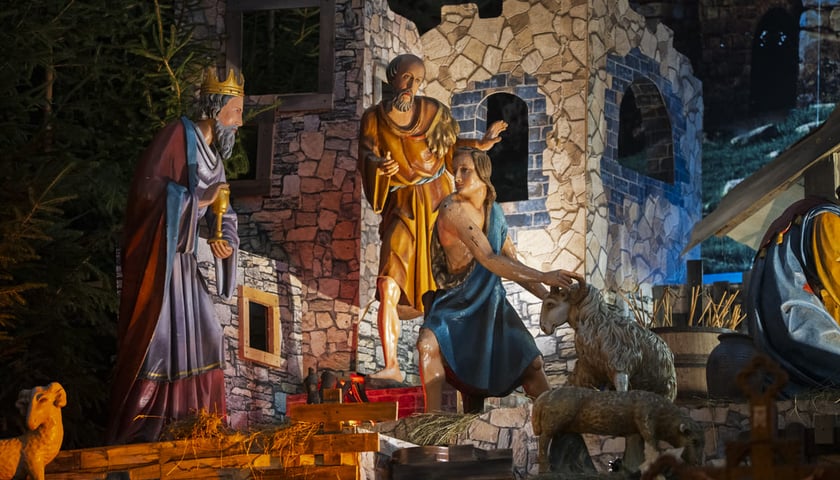 Szopka w kościele św. Antoniego na Karłowicach