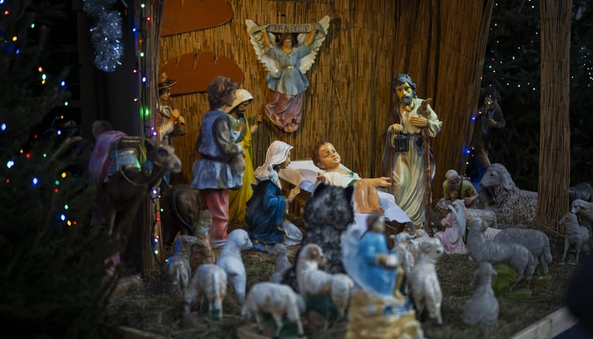 Bożonarodzeniowa szopka w kościele pw. św. Michała Archanioła na Ołbinie