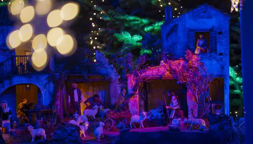 Szopka w Katedrze Wrocławskiej na Ostrowie Tumskim