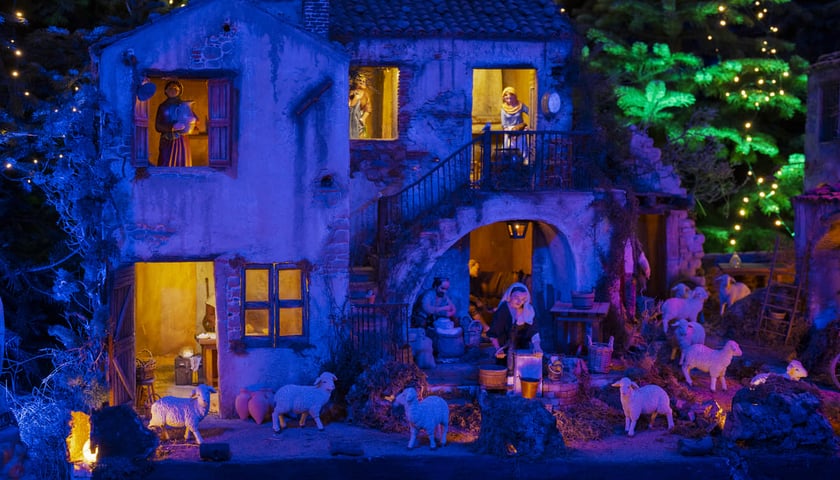 Szopka w Katedrze Wrocławskiej na Ostrowie Tumskim