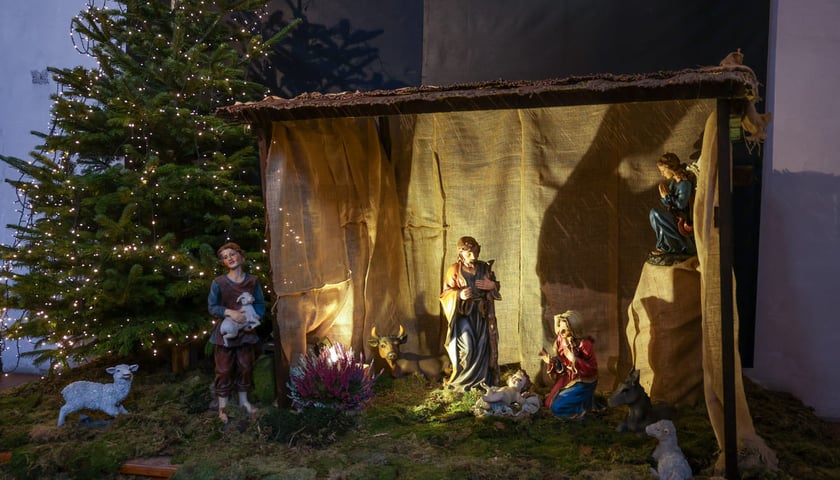 Bożonarodzeniowa szopka w kościele św. Wojciecha na Starym Mieście