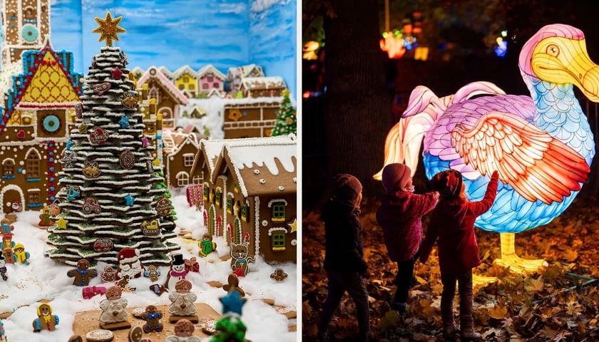 Po lewej: wystawa Miasto z Piernika w Kolejkowie, po prawej: wystawa Garden of Lights: Dzika Ameryka we wrocławskim zoo