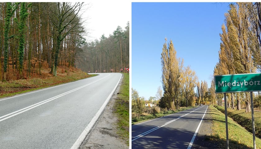 Zdjęcie dzielone na pół: od lewej widok na zakręt szosy przechodzącej przez las - droga krajowa nr 15; po prawej - widok na tablice z nazwą miejscowości "Międzybórz" przy drodze obsadzonej drzewami.