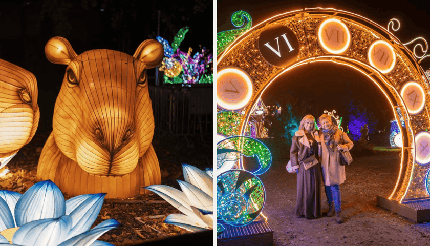 Zestawienie dwóch zdjęć: z lewej podświetlona figura kapibary w Garden of Lights "Dzika Ameryka" we Wrocławiu, obok Lumina Park i dwie zwiedzające kobiety