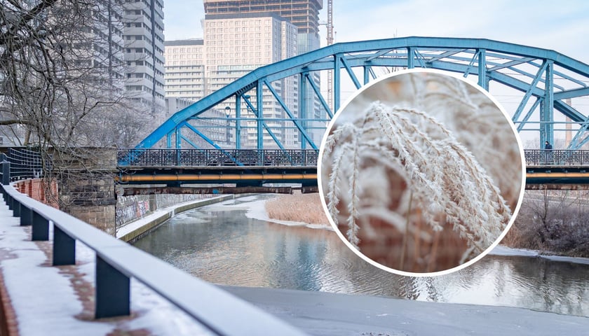 Mróz, zima we Wrocławiu / zdjęcie ilustracyjne