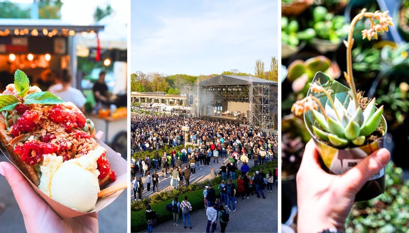 Od lewej: słodkości z Gastro Miasto, scena 3-Majówki na Pergoli, roślina