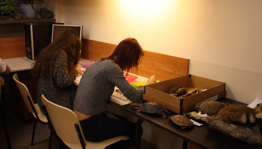 Noc Biolog&oacute;w we Wrocławiu, zdjęcie z warsztat&oacute;w w 2025 roku