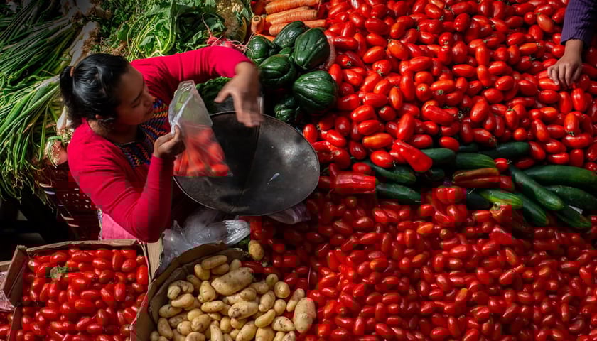 <p>Zdjęcie prezentowane podczas jednej z poprzednich edycji festiwalu R&oacute;wnoleżnik Zero</p>