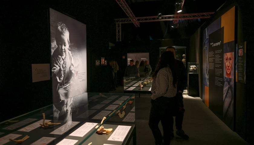 <p>Relacja z wystawy Body Worlds w IASE</p>