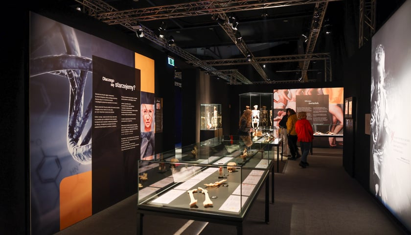 Wystawa Body Worlds we Wrocławiu - otwarcie (preview)