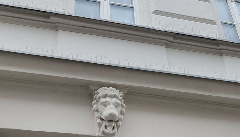 <p>Przedieście Oławskie</p>