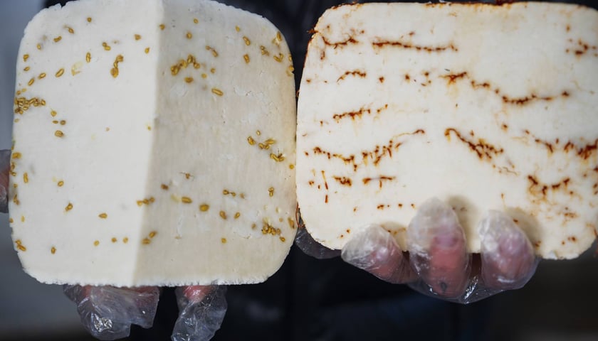 Dolnośląski Targ Rolny, pierwszy w 2026 roku. Kiedy kolejne?