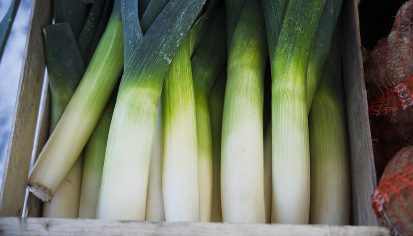 Dolnośląski Targ Rolny, pierwszy w 2026 roku. Kiedy kolejne?