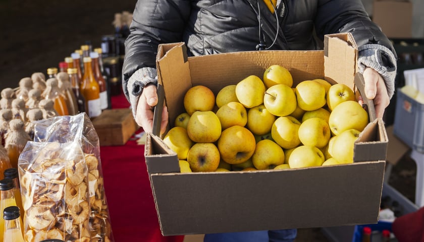Jabłka jednego ze sprzedawców na dzisiejszym Dolnośląskim Targu Rolnym