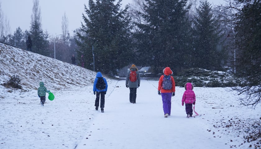 Zimowe aktywności na G&oacute;rce Oporowskiej