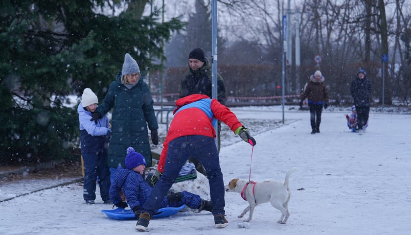 Zimowe aktywności na G&oacute;rce Oporowskiej