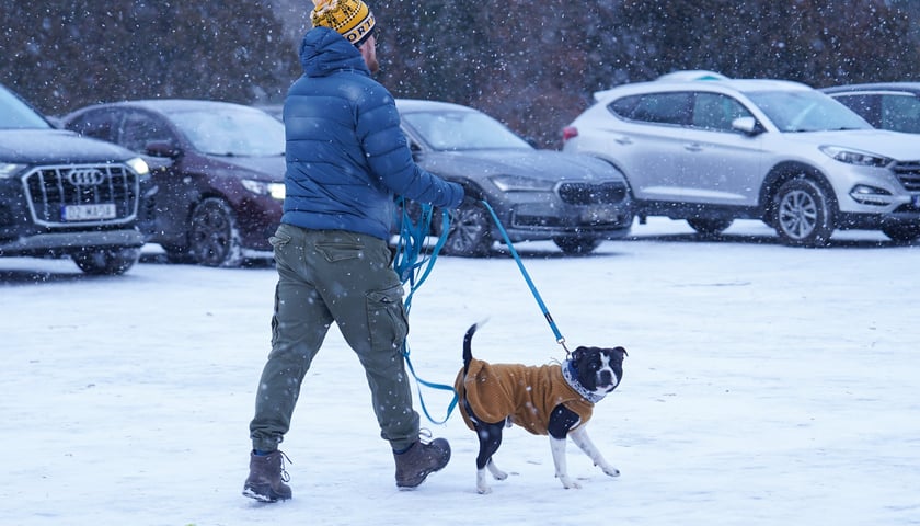Zimowe aktywności na G&oacute;rce Oporowskiej