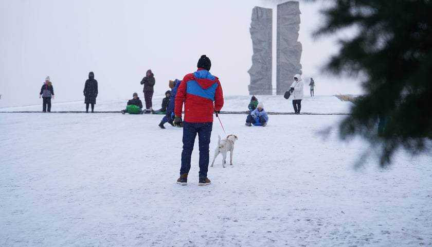 Ludzie na Górce Oporowskiej z sankami, jabłkami, czworonogami