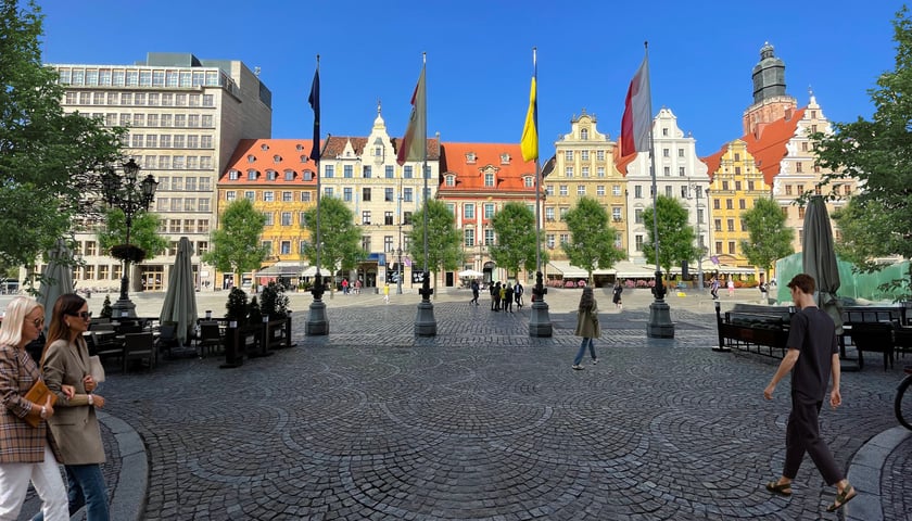 Wizualizacja Zazielenienia Rynku