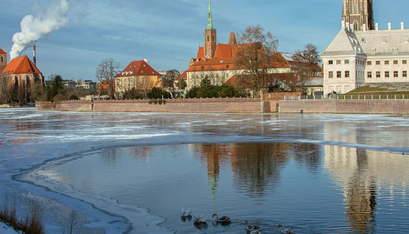 Na pierwszym planie rzeka Odra, częściowo zamarznięta. W tle widok Ostrowa Tumskiego.