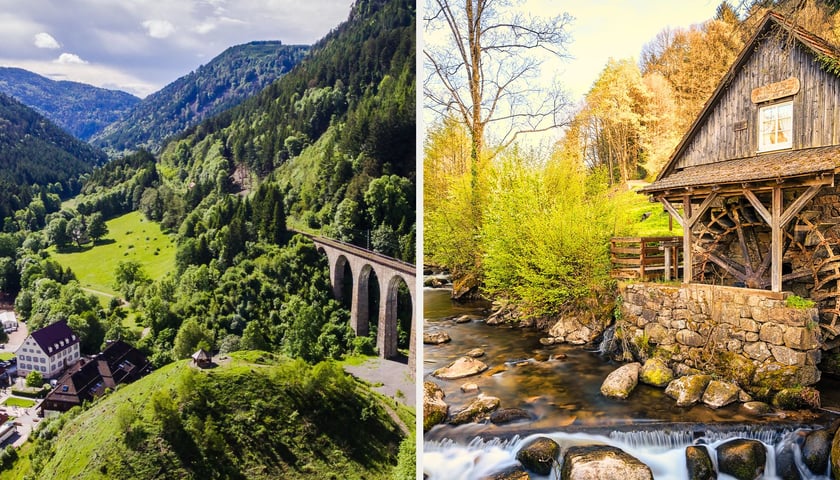 Schwarzwald - zdjęcia ilustracyjne. Od kwietnia do maja polecicie tu z wrocławskiego lotniska