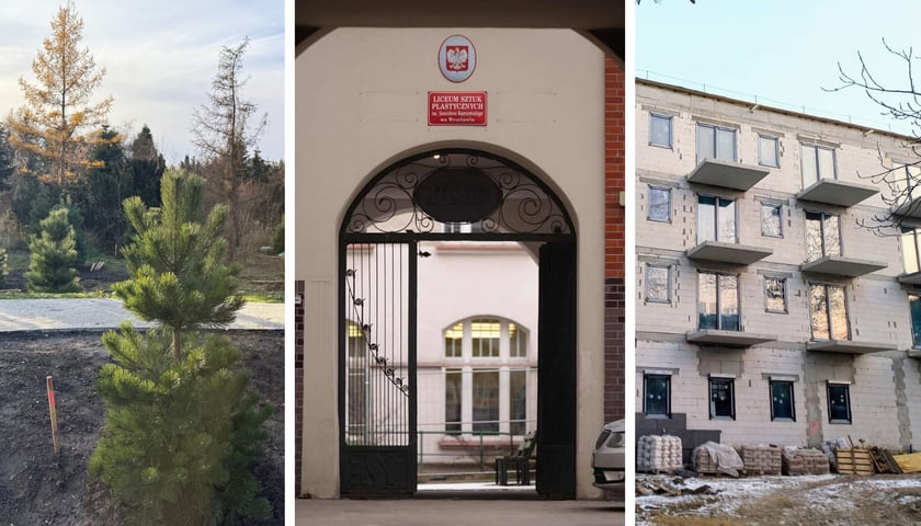 Trzy zdjęcia – z lewej drzewa nasadzone w Ogrodach Szczytnickich, w środku wejście do Liceum Plastycznego, z prawej TBS X