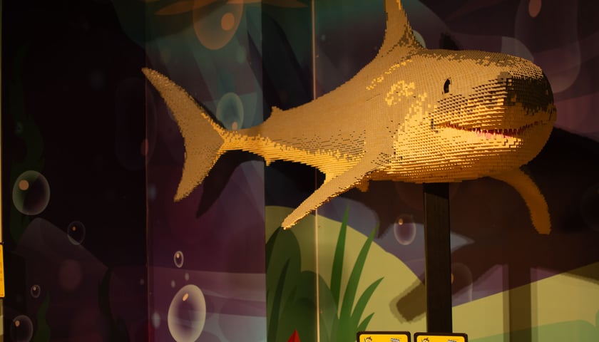 Wystawa Budowli z Klocków Lego w Sky Tower