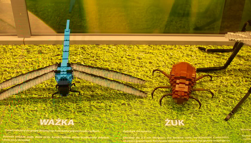 Wystawa Budowli z Klocków Lego w Sky Tower