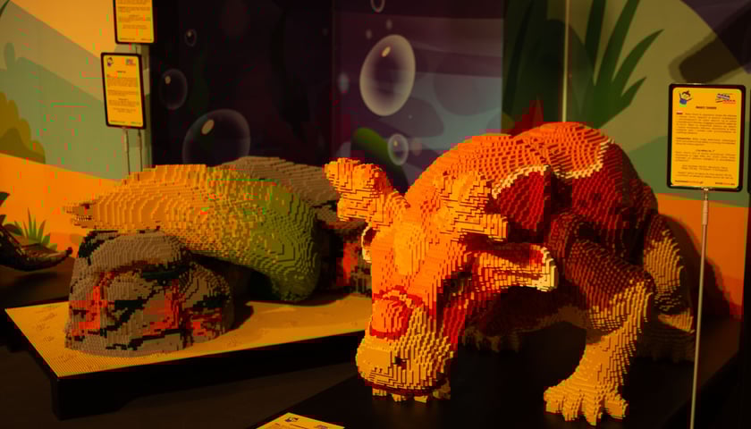 Wystawa Budowli z Klocków Lego w Sky Tower