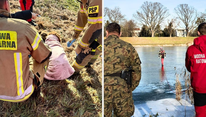 Akcja ratunkowa psa w rejonie Mostu Brodzkiego