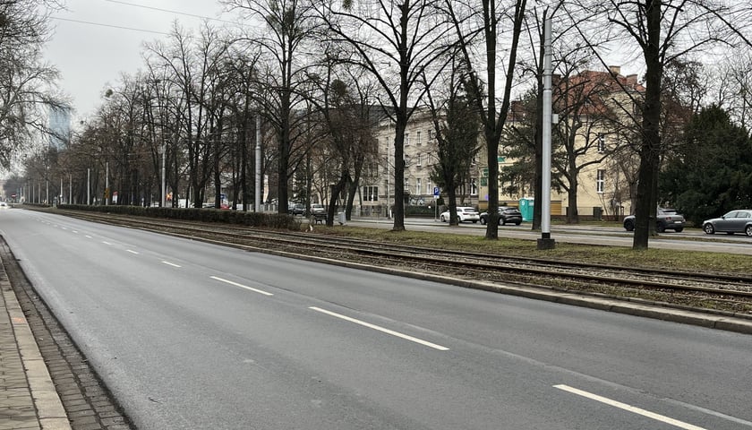 <p>Ulica we Wrocławiu</p>