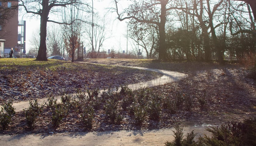 <p>Zieleniec przy Długosza</p>