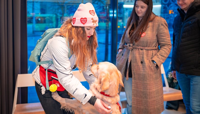 Wolontariusze w sztabie WOŚP w barze Barbara