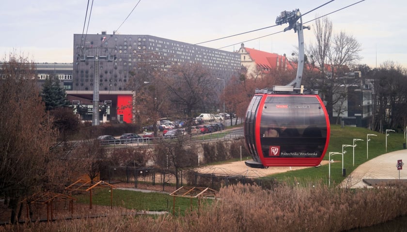 Polinka w ruchu - zdjęcie archiwalne ze stycznia 2023 roku 