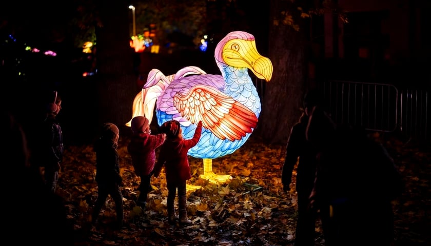 Garden of Lights - Dzika Ameryka
