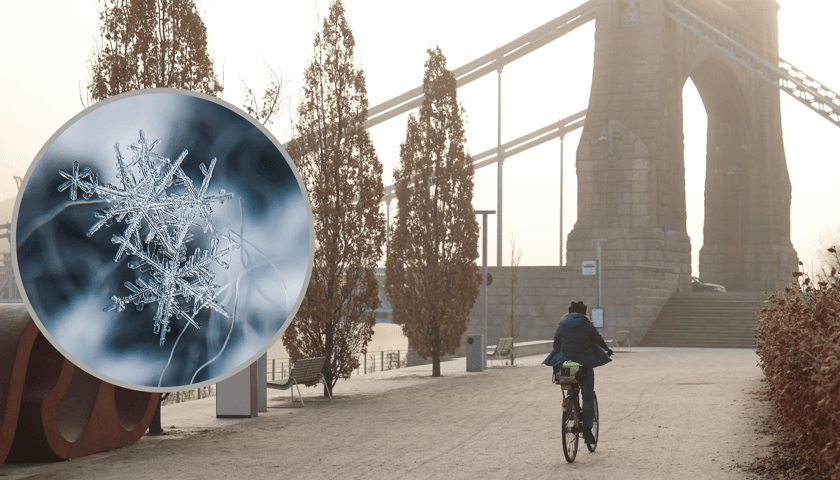Człowiek jadący na rowerze w stronę Mosty Grunwaldzkiego, w kółku zmrożone rośliny