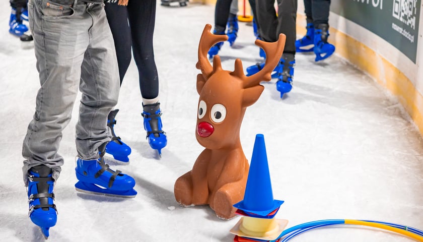 Lodowisko WCT Spartan