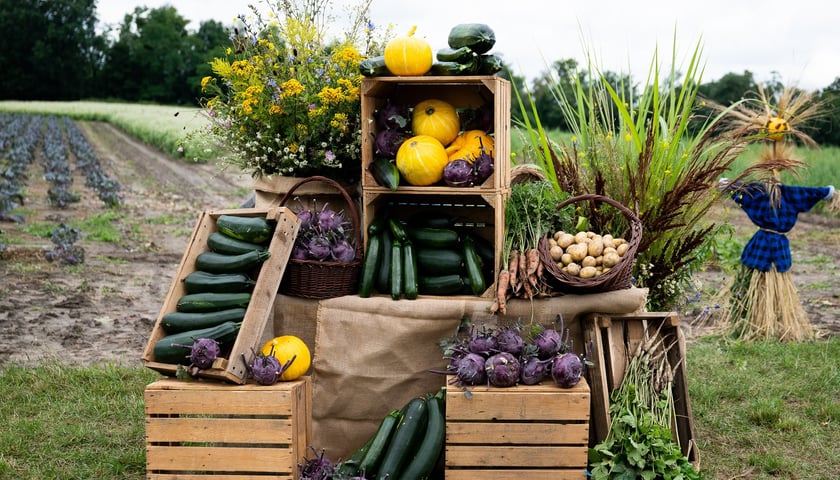 Plony Farmy Miejskiej Wrocław