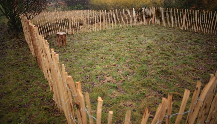 Farma Miejska Wrocław to projekt, kt&oacute;ry łączy ekologię z funkcją społeczną