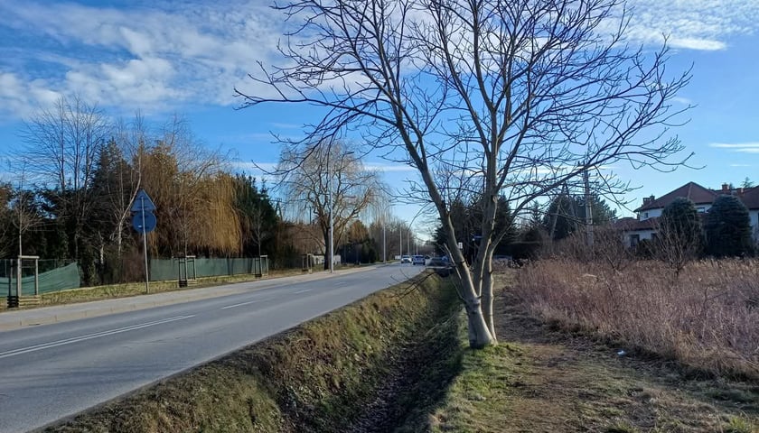 W tym miejscu dobudowany zostanie brakujący chodnik - ul. Kurpiów na Ołtaszynie
