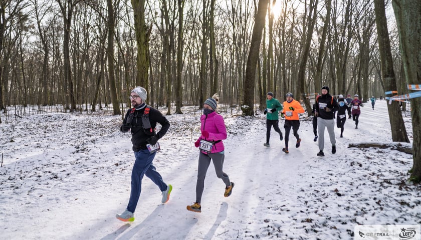 Biegacze w zimowym lesie podczas zawodów City Trail.