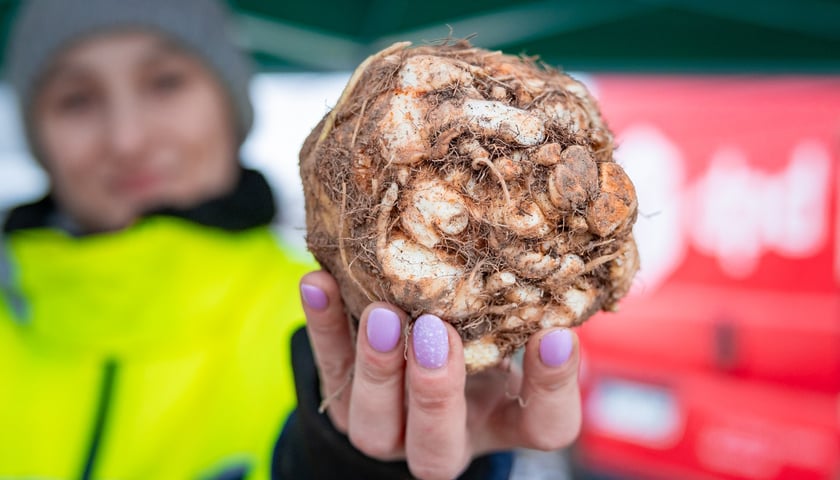 Dolnośląski Targ Rolny przy Zwycięskiej 8