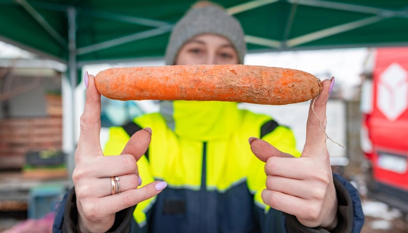 Dolnośląski Targ Rolny przy Zwycięskiej 8