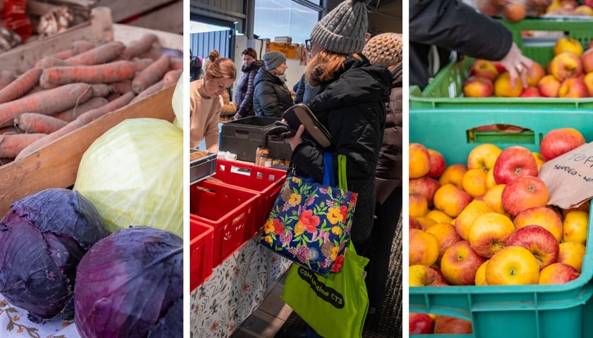 Trzy zdjęcia, od lewej marchewka i kapusty do kupienia, w środku klienci robiący zakupy na Dolnośląskim targu Rolnym, z prawej jabłka w skrzyniach