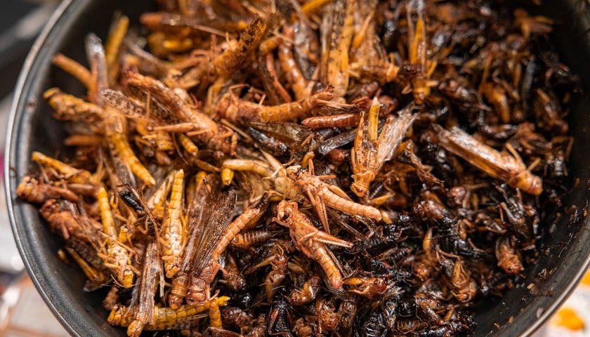 Targi Rzeczy Wartych Zachwytu w Hali Orbita