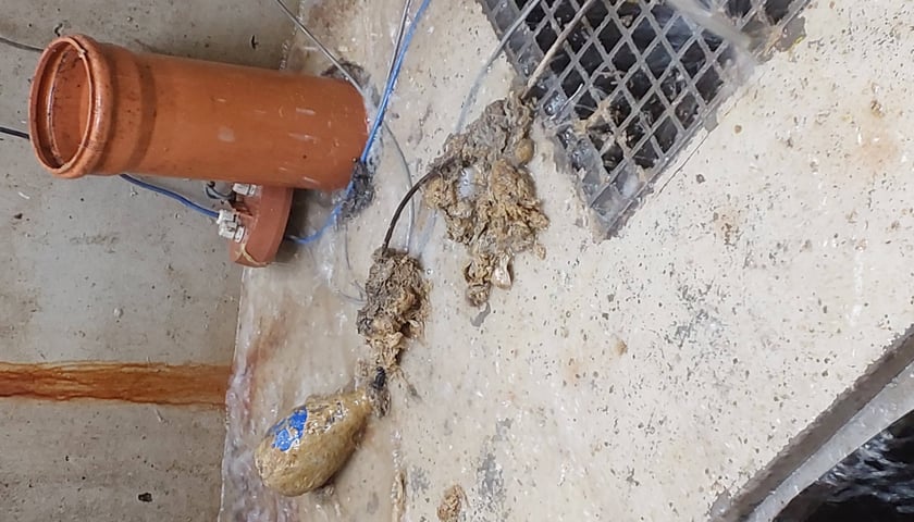 <p>Pieluchy, ubrania, zabawki - oto co pracownicy MPWiK wyławiają w zatkanych przepompowniach</p>