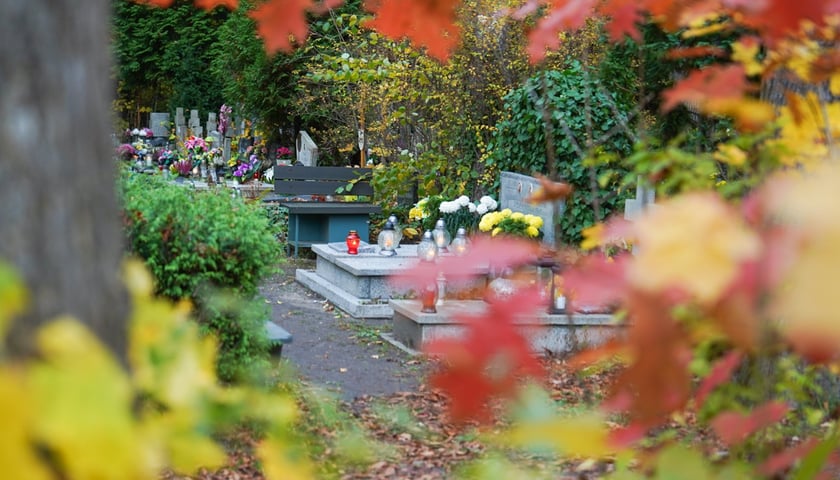 Cmentarz we Wrocławiu. Na zdjęciu widać alejkę cmentarną i nagrobki