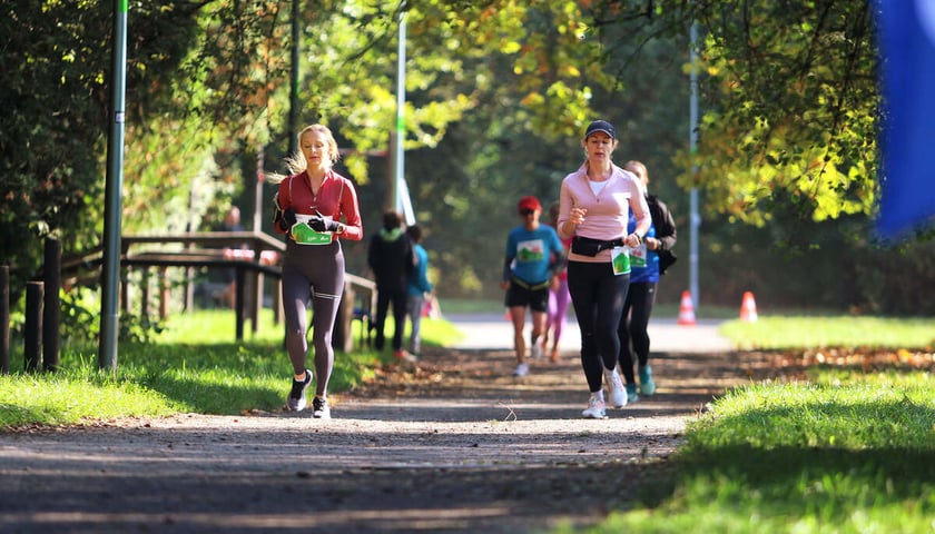 Bieg dla Ukrainy odbędzie się w Parku Grabiszyńskim, jednym z ulubionych miejsc wrocławskich biegaczy