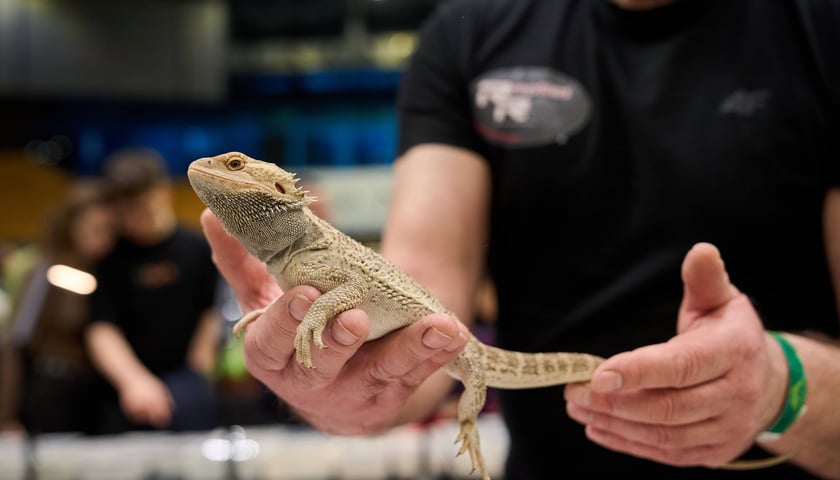 Targi Zooegzotyka w Hali Orbita