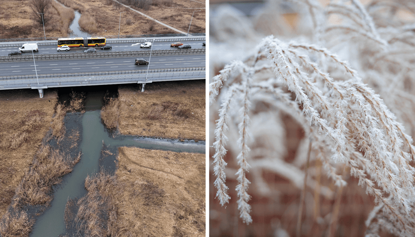 Z lewej rzeka Widawa widziana z góry z wezbraną wodą, po prawej oszroniona trawa